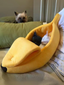 banana cat bed