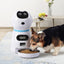 Automatic Pet Feeder – Smart Feeder for Cats & Dogs