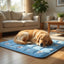 Cooling Gel Pet Pad — Non-Toxic, Self-Cooling Mat for Dogs & Cats