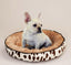 Pawfey Dog Bed – Ultra-Soft and Stylish Comfort for Cats and Dogs