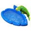 Parrot Bath & Feeding Box