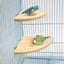 Wooden Bird Perch Platform