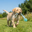 Cotton Rope & Rubber Dog Chew Ball – Treat Dispenser Toy, 18x13cm, Durable for Boredom & Teething