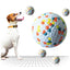 Durable Dog Molar Ball – Interactive Training Toy