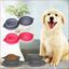Double Collapsible Pet Bowls – Food & Water Feeding Solution