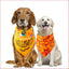 Halloween Pet Saliva Towel – Spooky & Practical Accessory