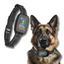 Smart Rechargeable Anti-Bark Dog Collar HD Display & Waterproof