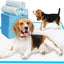 Disposable Pet Pads – Toilet Training Supplies for Dogs Cats