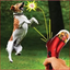 Pet Food Feeder – Funny & Interactive Pet Toy for Dogs