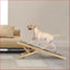 Pet Ramp Ladder – Adjustable Angle for Easy Access