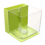 Self-cleaning small fish tank