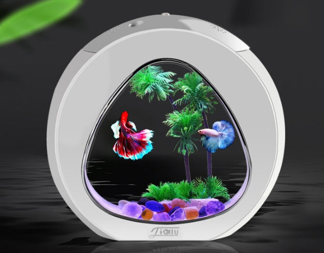 Desktop Fish Tank Aquarium Main Image