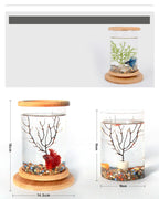 Small Office Glass Aquarium Bamboo Base Mini Fish Tank
