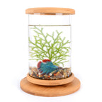 Small Office Glass Aquarium Bamboo Base Mini Fish Tank