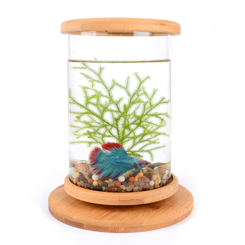 Small Office Glass Aquarium Bamboo Base Mini Fish Tank