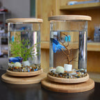Small Office Glass Aquarium Bamboo Base Mini Fish Tank