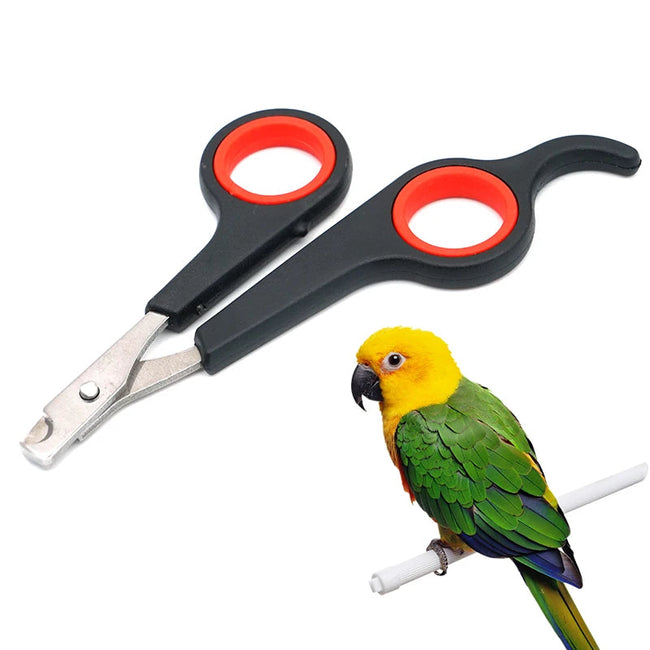 Pet Bird Parrot Small Animals Accessory Grooming Tool Nail Scissors Clipper Black and Red Main Image