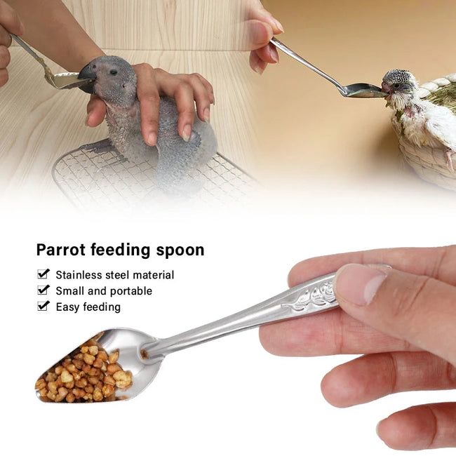Bird Feeding Spoon Pet Bird Parrot Bird Cage Add Food Spoon Stainless Steel Feede Bird Food Spoon Feeding Bird Supplies Hover Image