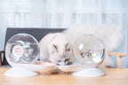 Snail design  Pet Auto water dispenser bowl for dogs and cat 2.8L  Pink
