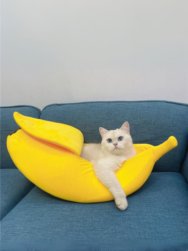banana cat bed