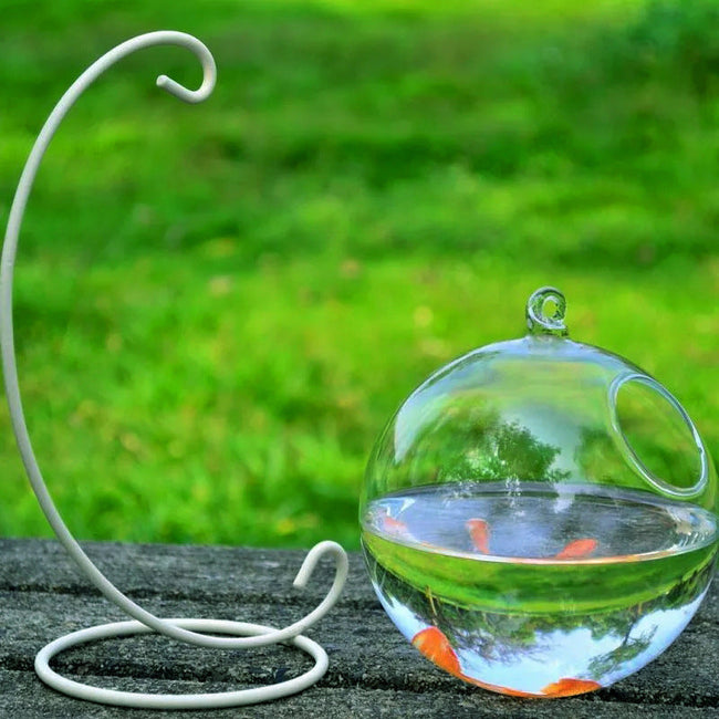Hanging Glass Vase Fish Tank Main Image