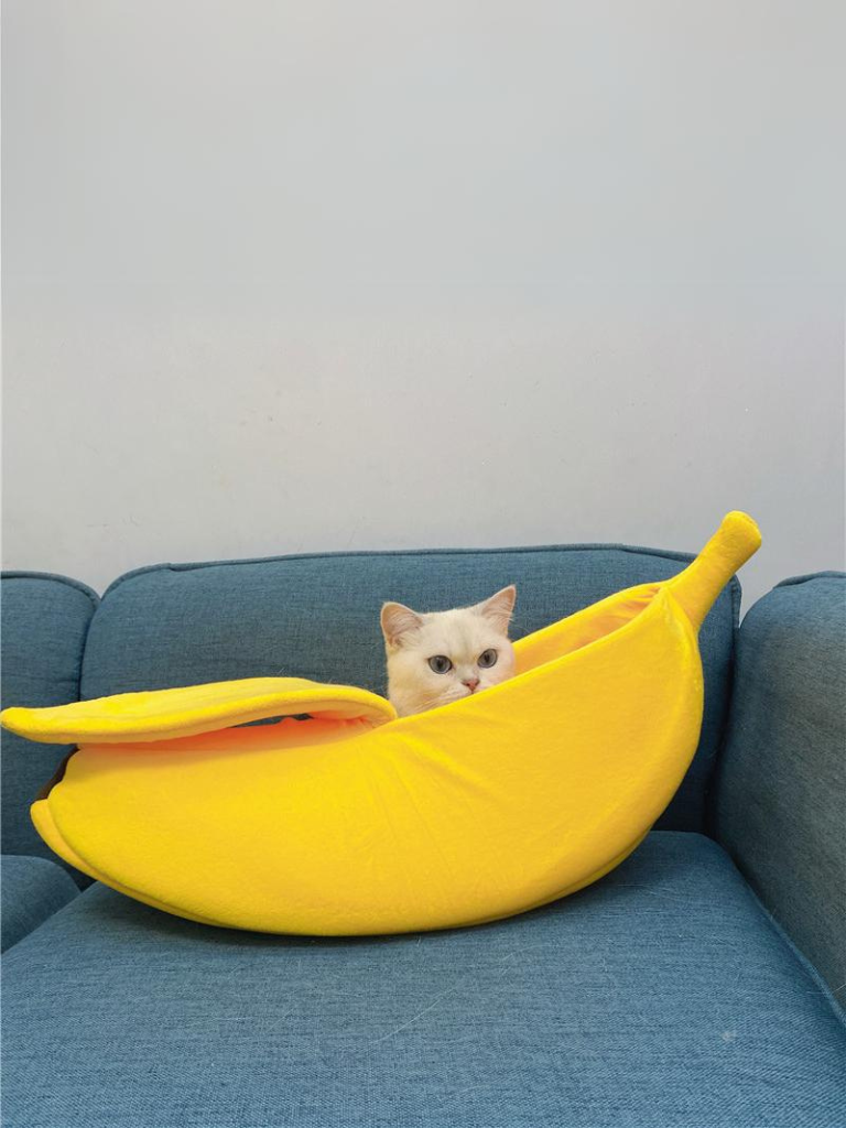 banana cat bed