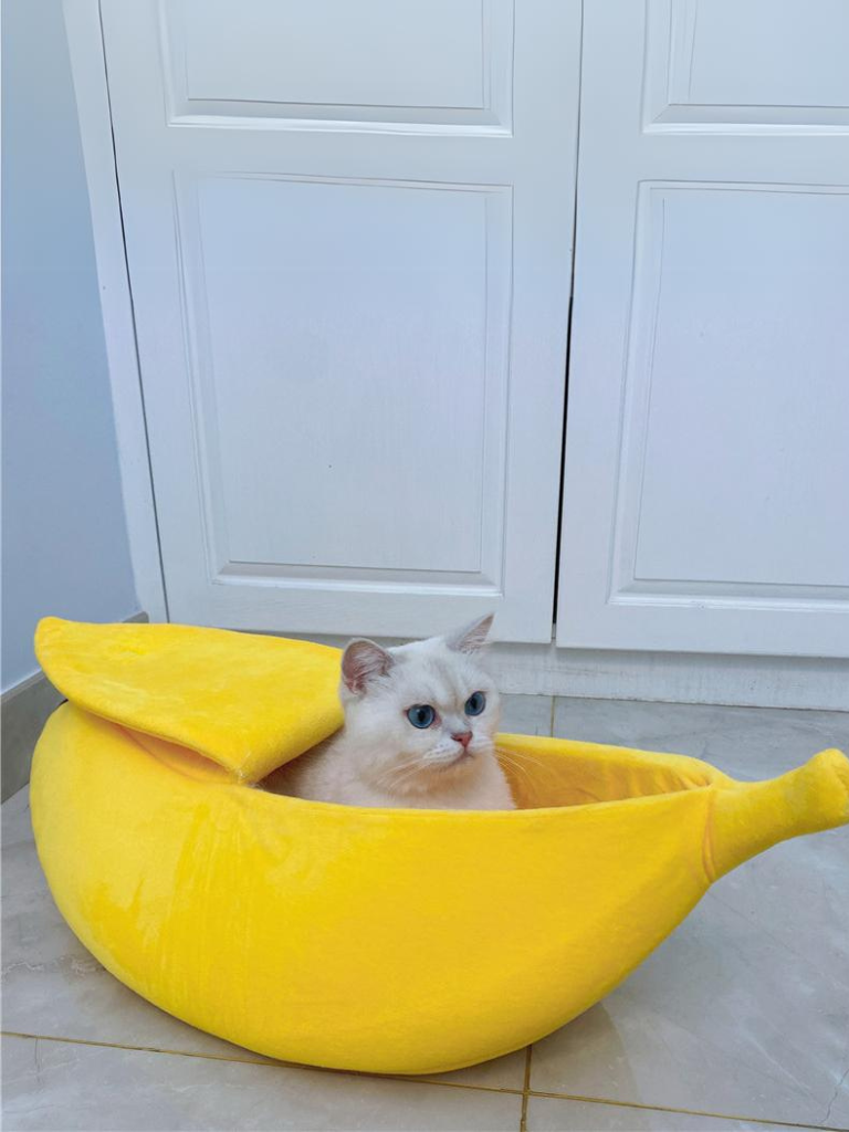 banana cat bed