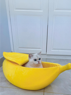 banana cat bed