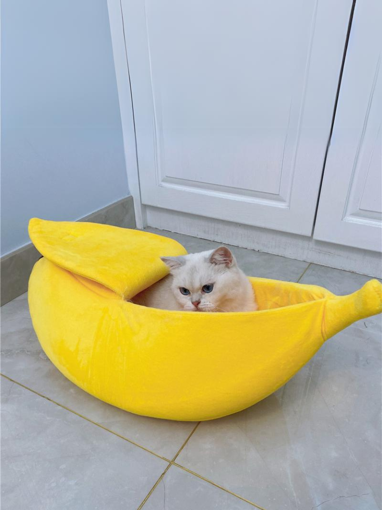 banana cat bed