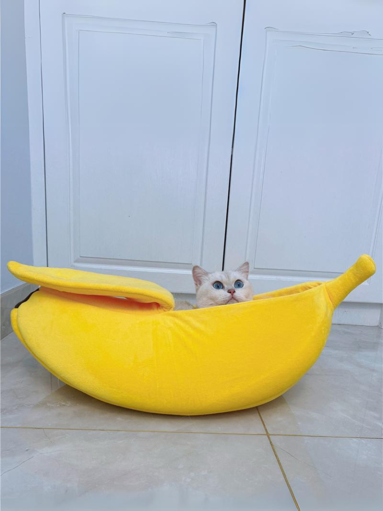 banana cat bed