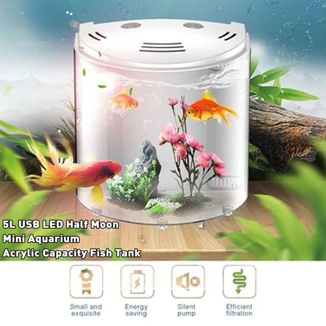 Ecological Acrylic Fish Tank Main Image