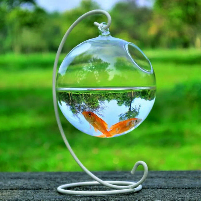 Hanging Glass Vase Fish Tank Hover Image