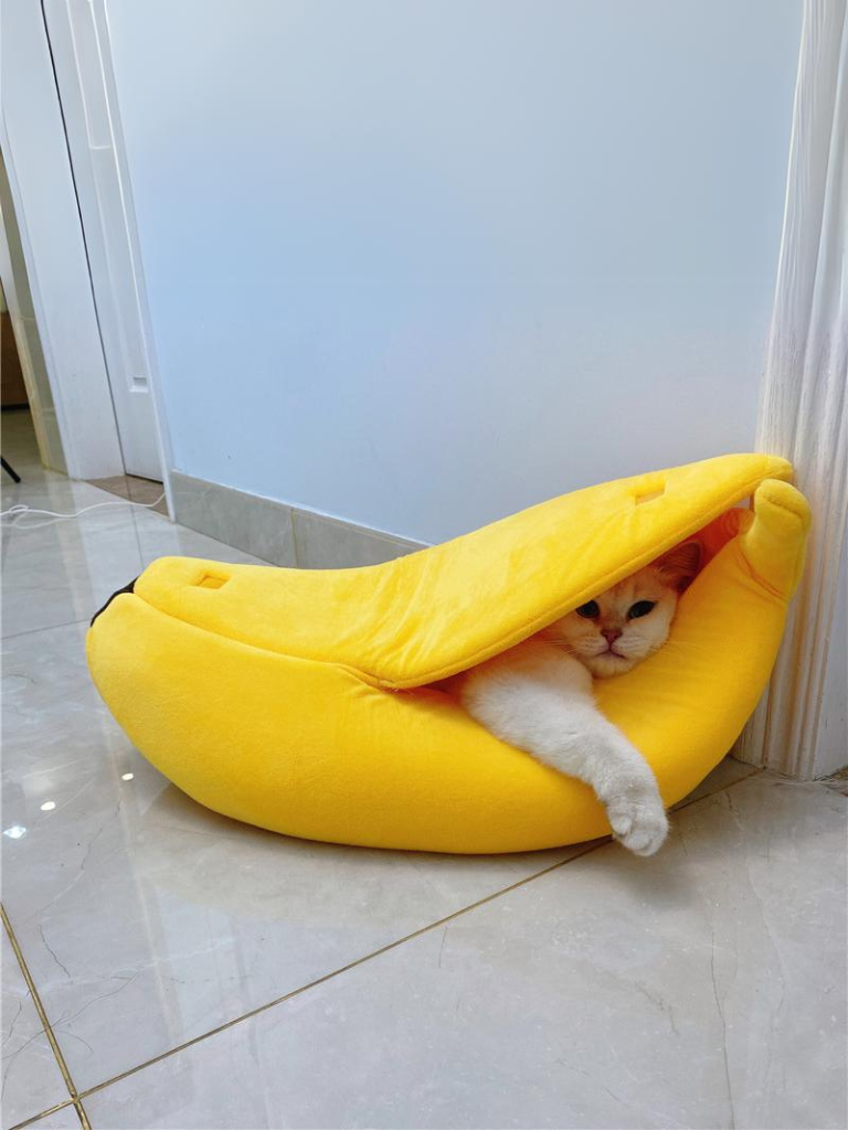banana cat bed