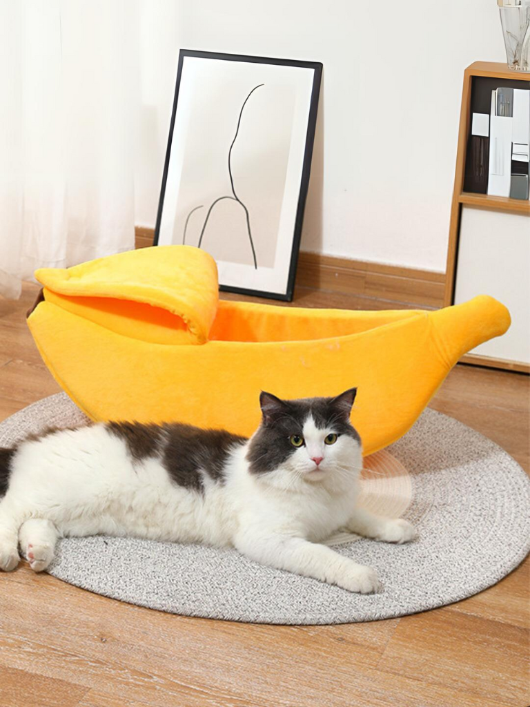 banana cat bed