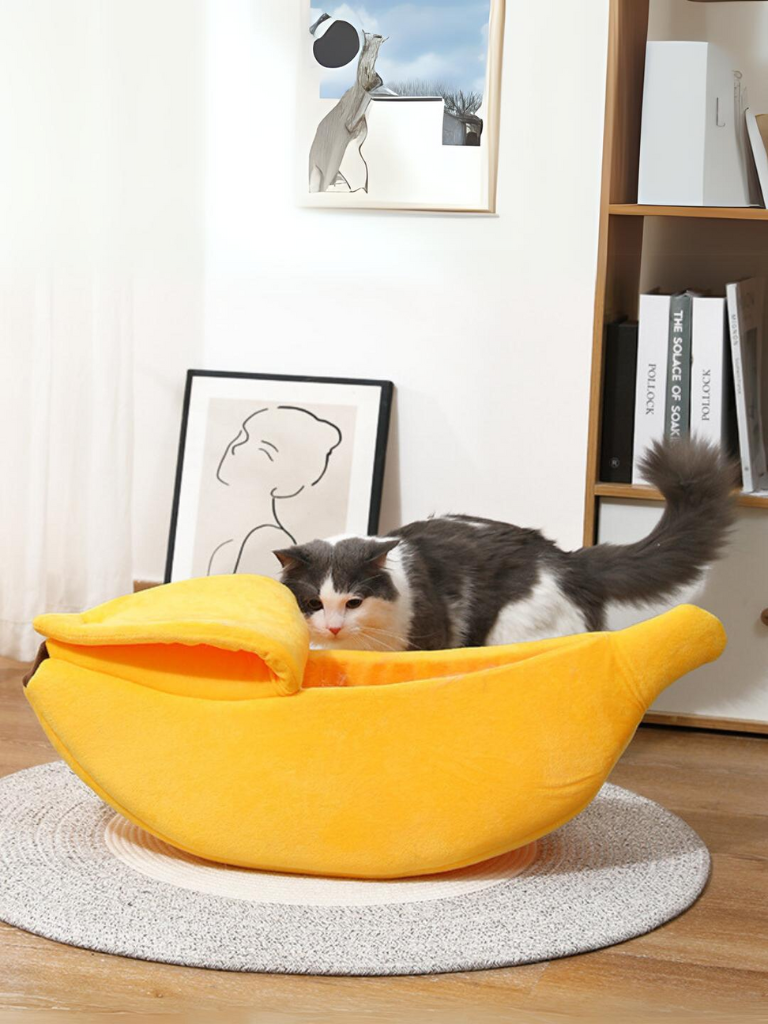banana cat bed