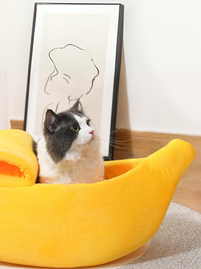 banana cat bed