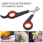 Pet Bird Parrot Small Animals Accessory Grooming Tool Nail Scissors Clipper Black and Red
