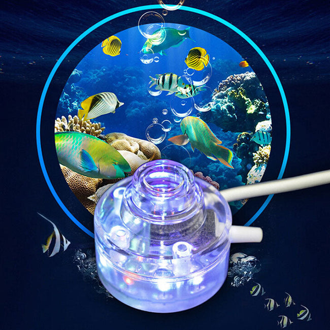 Aquarium Lamp Hover Image