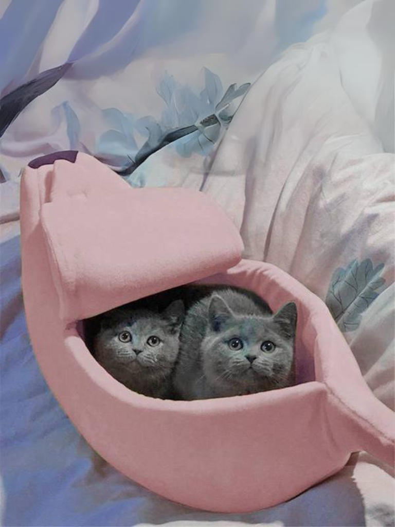 banana cat bed