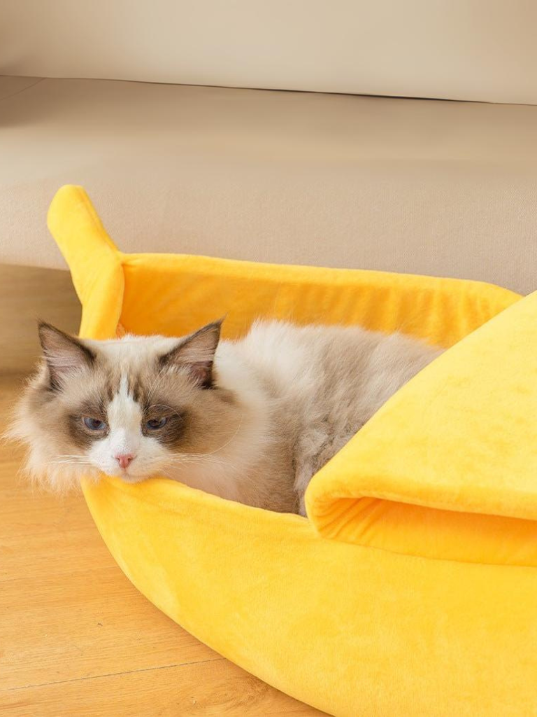 banana cat bed