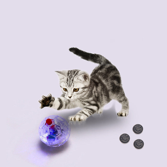 Glowing Interactive Pet Toy Ball for Cats and Dogs Hover Image