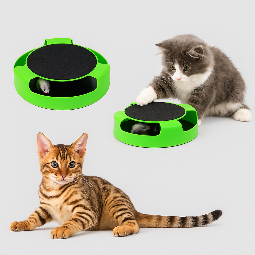Cat Scratch Board Toy – Fun Mouse for Kittens