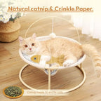 Catnip Toys for Indoor Cats – 3 Fish Kicker Set