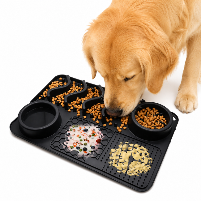 Dog Silicone Licking Pad & Slow Feeder Bowl — Multifunctional Pet Feeding Hover Image