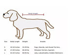 Dog Dryer Bag – Quick & Easy Drying Pet Accessory