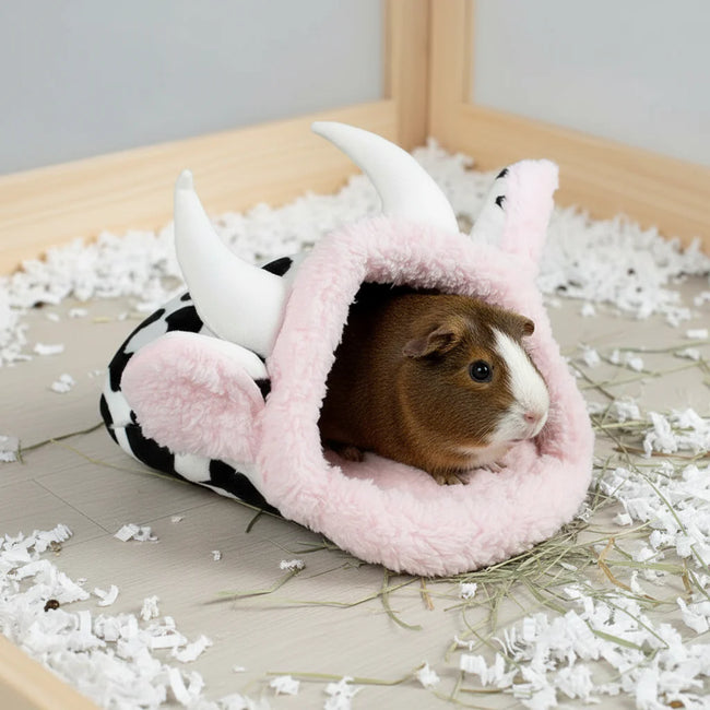 Guinea Pig Bed Hover Image