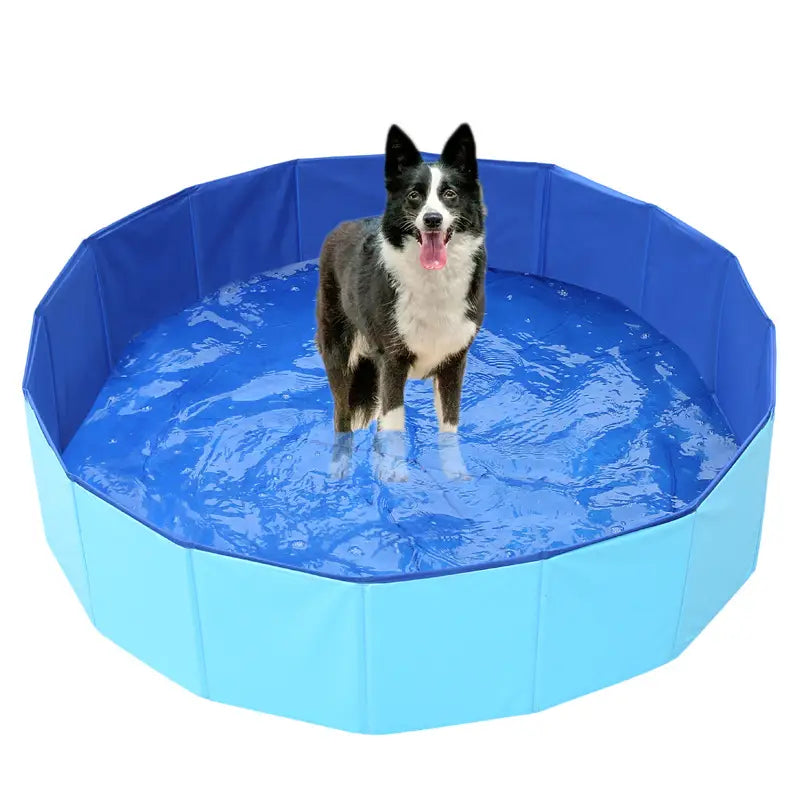 Foldable Dog Pool – Large Pet Swimming & Bathing Supplies