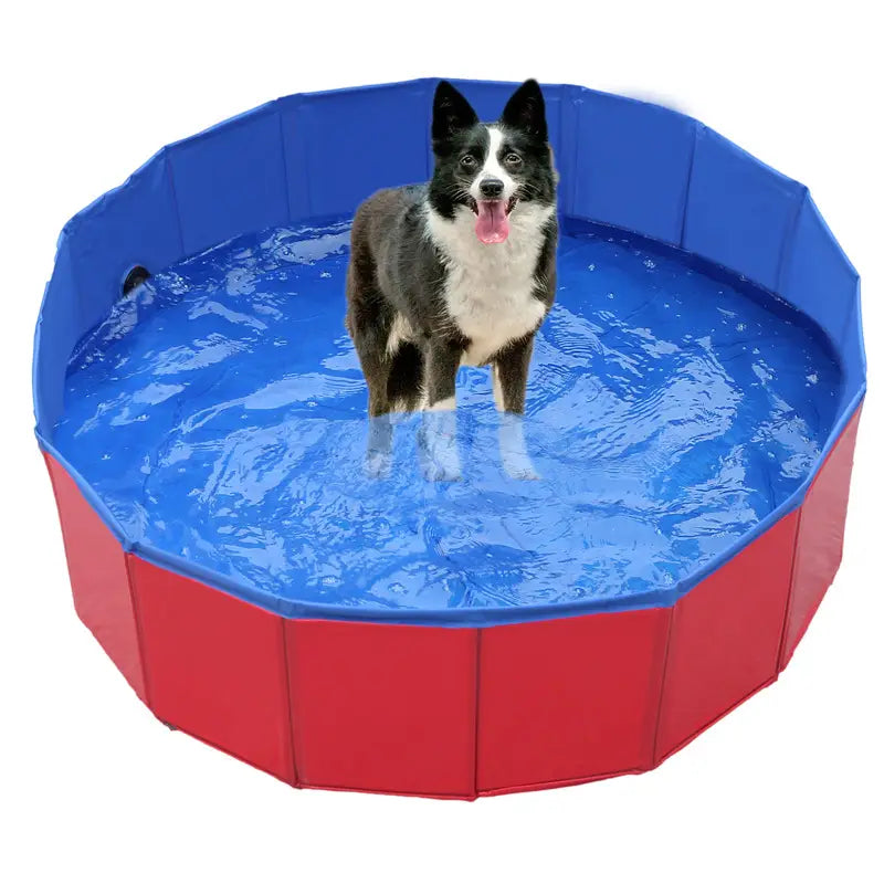 Foldable Dog Pool – Large Pet Swimming & Bathing Supplies
