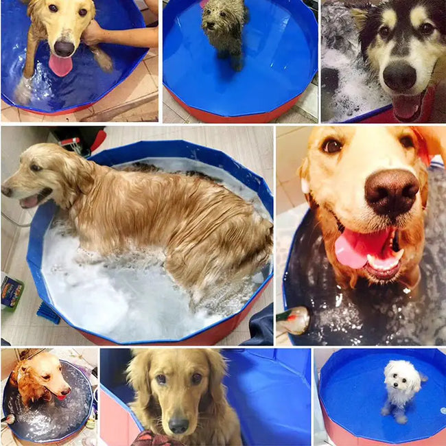Foldable Dog Pool – Large Pet Swimming & Bathing Supplies Main Image