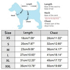 Denim Dog Clothes for Pitbulls Dachshund Fashion Dog Jeans Jacket  Blue Cowboy T-shirt for Shih Tzu Cool Apparel for Small Dogs